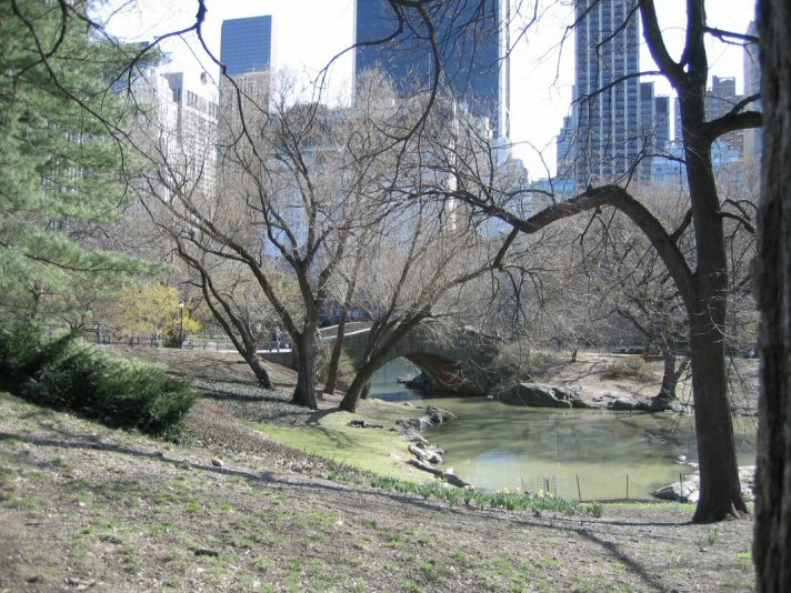 Central Park 2