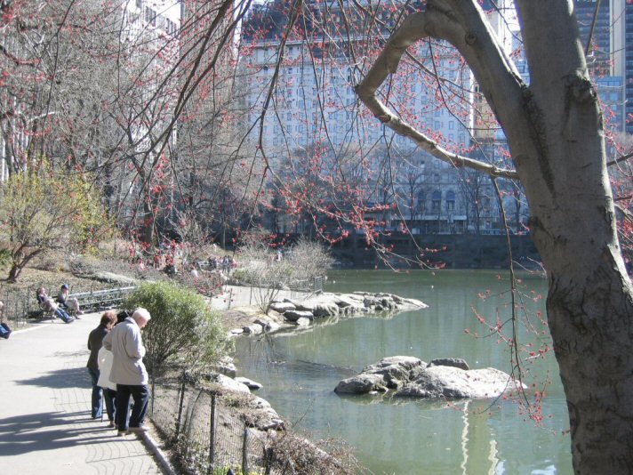 Central Park 3