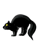 chat2